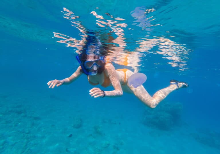 SOS meduse: come trattare una puntura di medusa