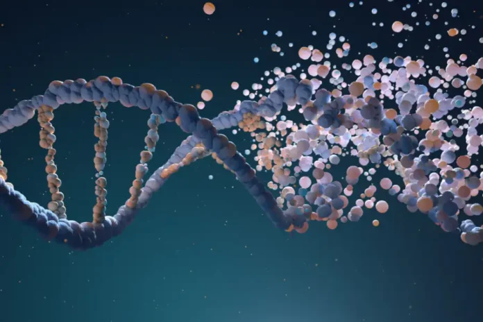 DNA