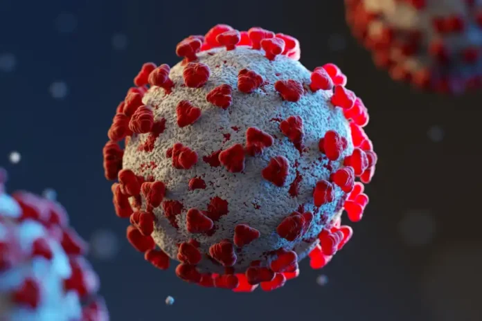 Virus respiratorio sinciziale