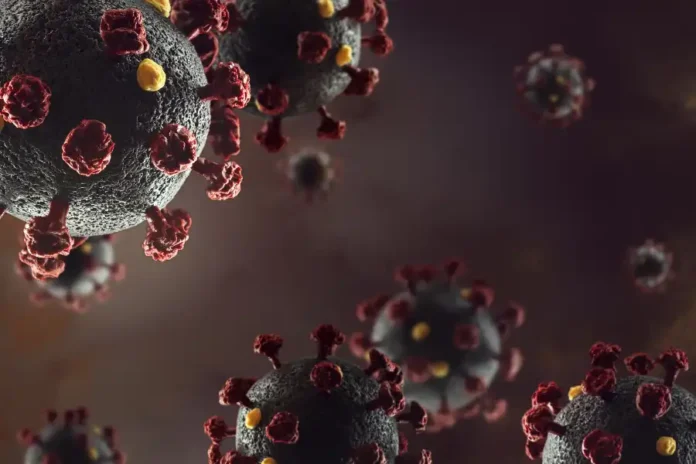 Virus IA