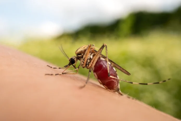 West Nile