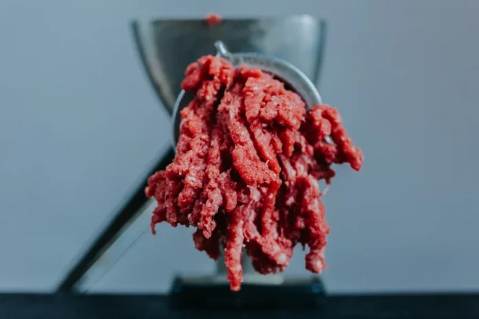 Cibo sintetico carne coltivata