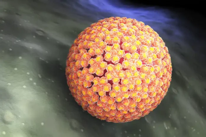 HPV - Papilloma Virus
