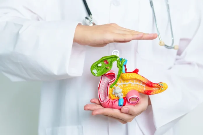 Pancreas