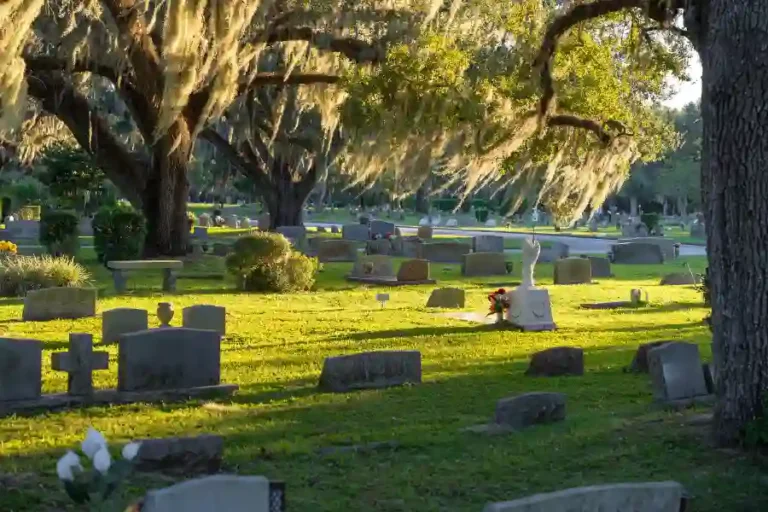 Cimiteri infrastrutture verdi