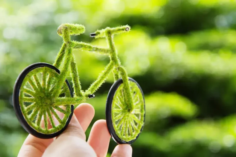 Stile di vita green