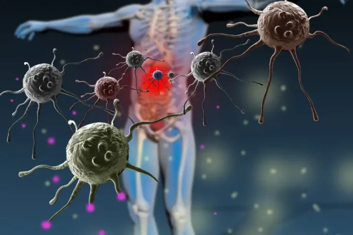 Sistema immunitario uomini donne