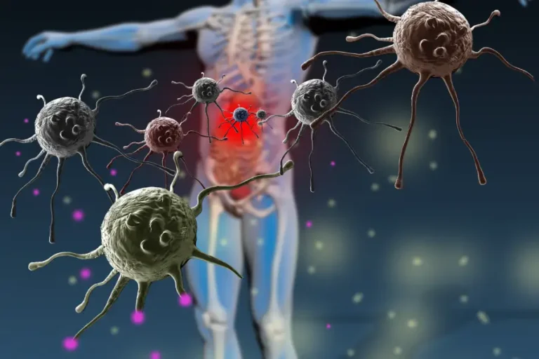 Sistema immunitario uomini donne