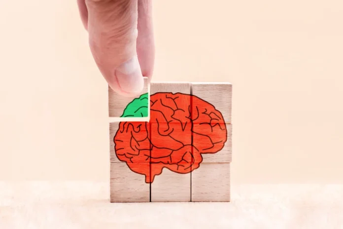 Cervello attivo tre regole
