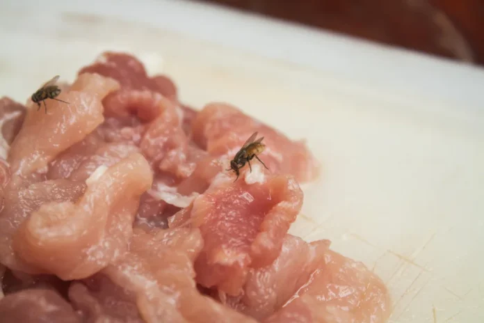 Cibo contaminato