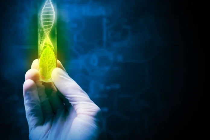 DNA e ambiente