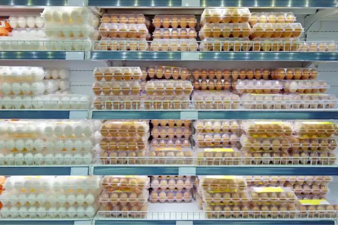 Uova tramezzini supermercato contamina