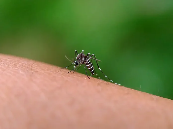 west nile