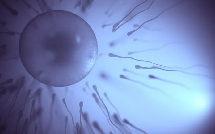 fertilità