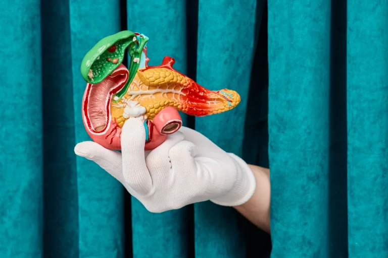 pancreas